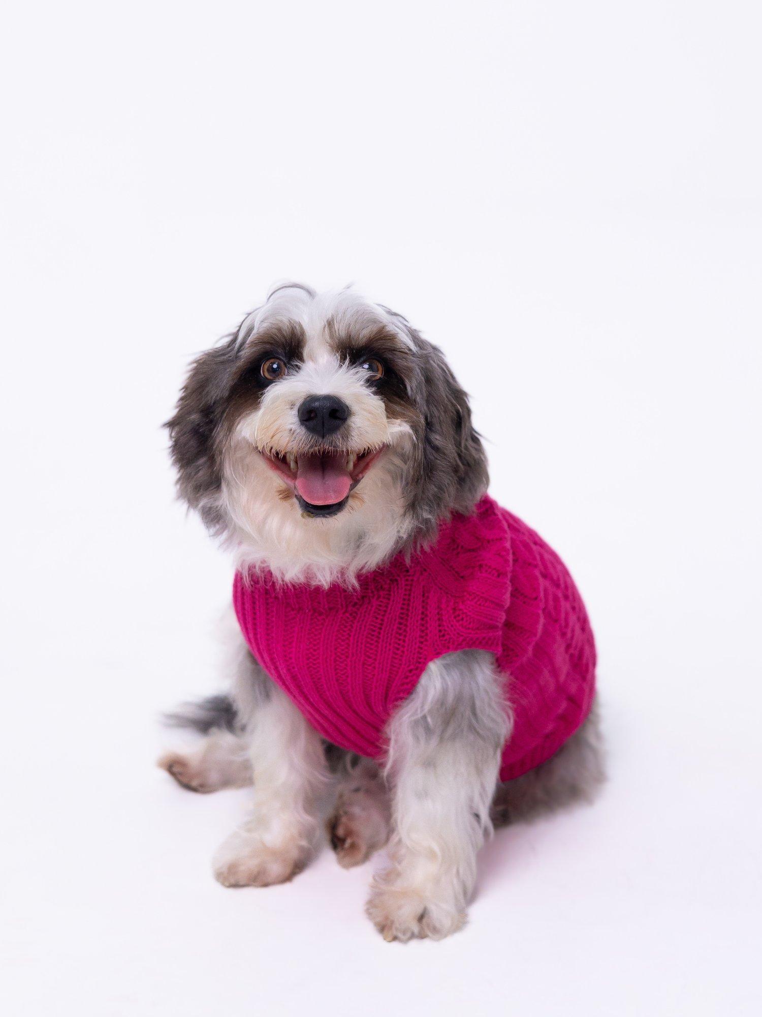ROUPA PET TRANÇADA