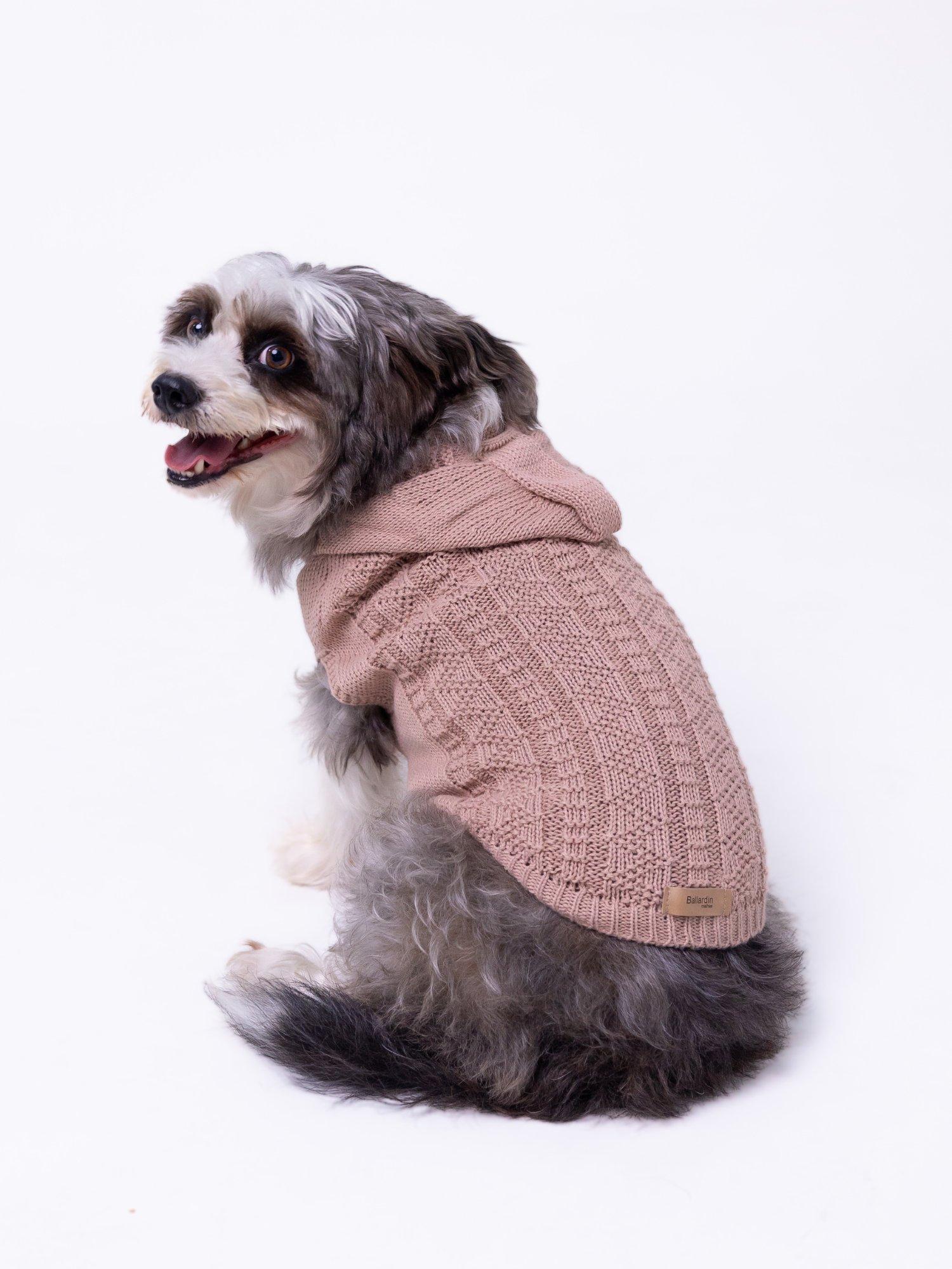 ROUPA PET COM CAPUZ